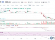 bome币价格今日行情分析,1比特币等于多少人民币